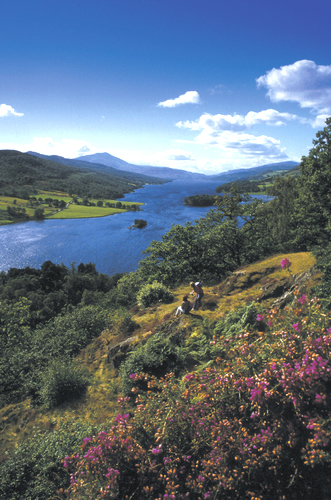 Perthshire and Kinross - Campsite - Tummel Valley Holiday Park