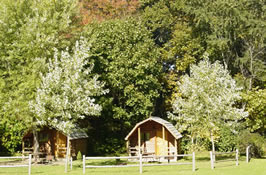 Campground